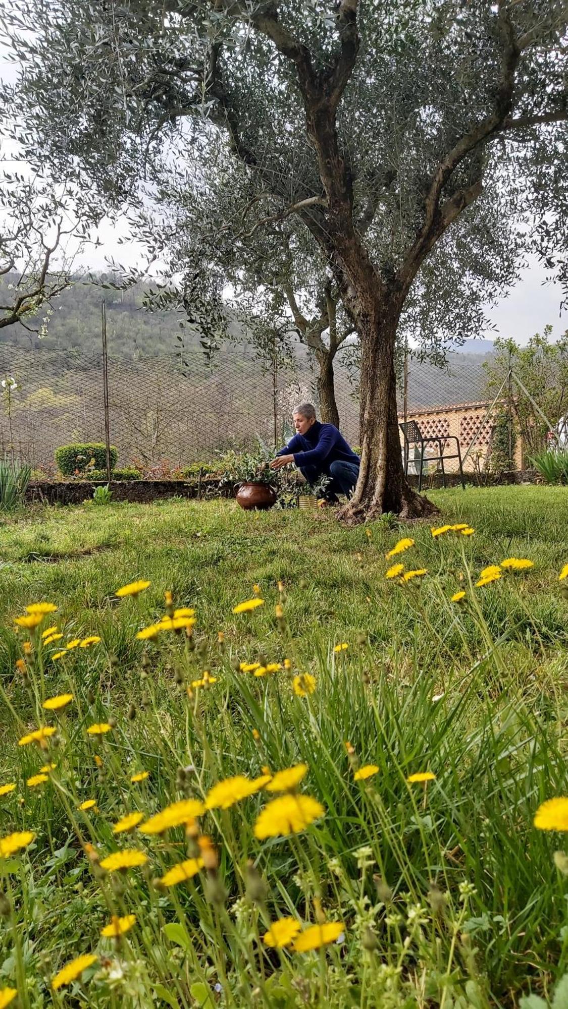 Corte Martinola Bed&Breakfast In Franciacorta Ome Zewnętrze zdjęcie